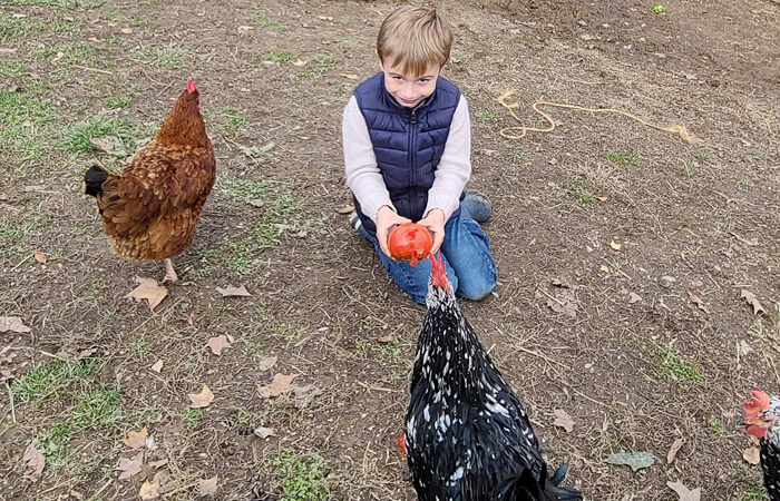 kids with chickens